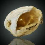 Calcite Crystals Lining Fossil Clam Shell, Virginia Beach